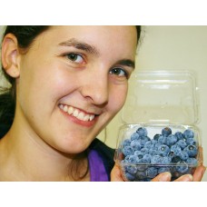 SPRAY FREE SWEET TASTING BLUEBERRIES  125 Gram Punnet Katikati Grown